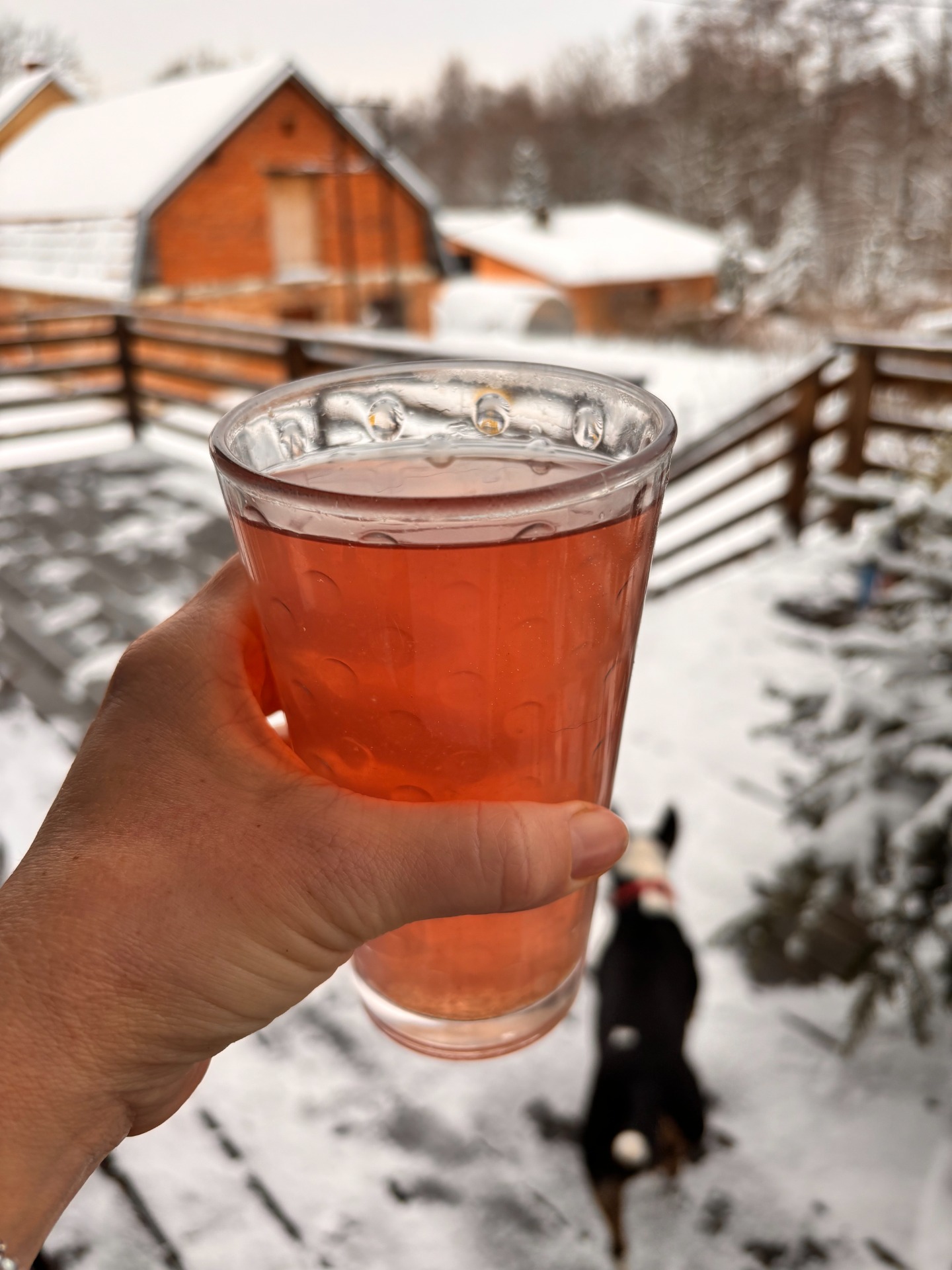 Onion Bronchial Broth